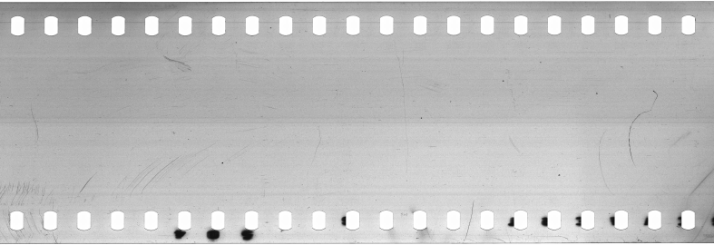 FR751142302_RDN_S_0382_1981_0004 PNG
