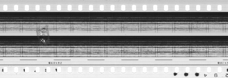 FR751142302_RDN_S_0382_1981_0011 PNG