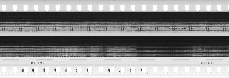 FR751142302_RDN_S_0382_1981_0146 PNG