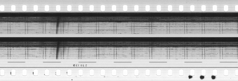 FR751142302_RDN_S_0382_1981_0202 PNG