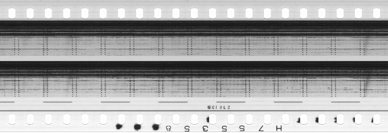 FR751142302_RDN_S_0382_1981_0204 PNG