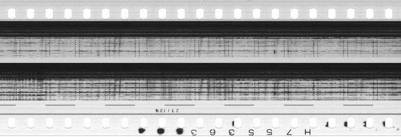 FR751142302_RDN_S_0382_1981_0219 PNG