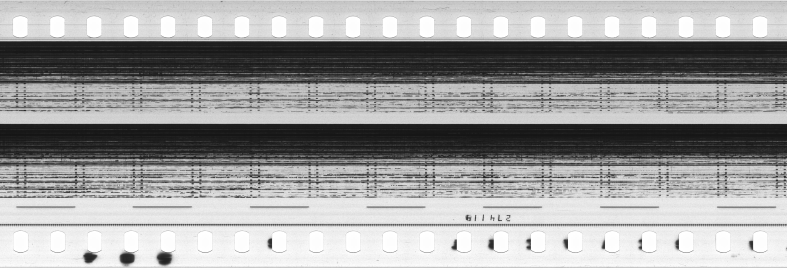 FR751142302_RDN_S_0382_1981_0305 PNG