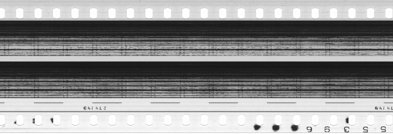 FR751142302_RDN_S_0382_1981_0318 PNG