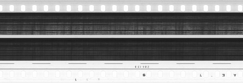 FR751142302_RDN_S_0383_1981_0305 PNG