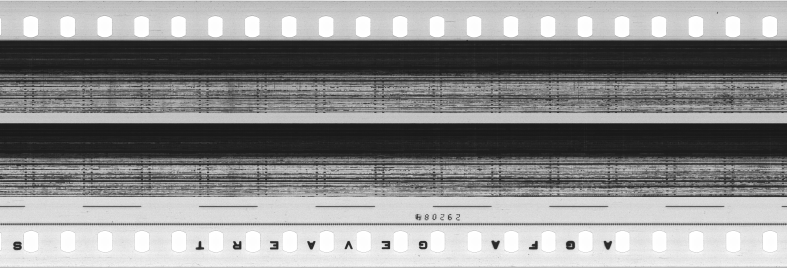 FR751142302_RDN_S_0384_1981_0142 PNG