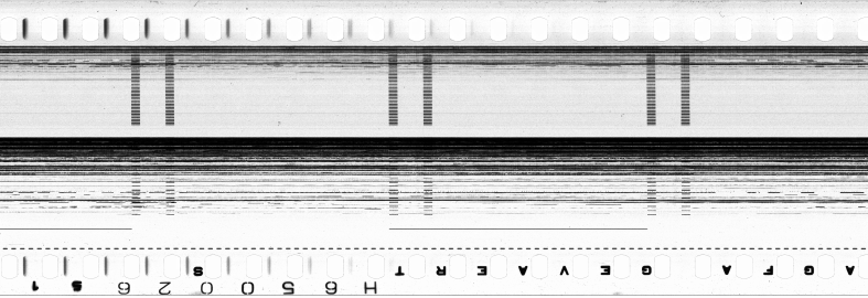 FR751142302_RDN_S_0386_1981_0016 PNG