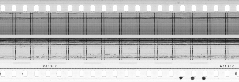 FR751142302_RDN_S_0387_1981_0305 PNG