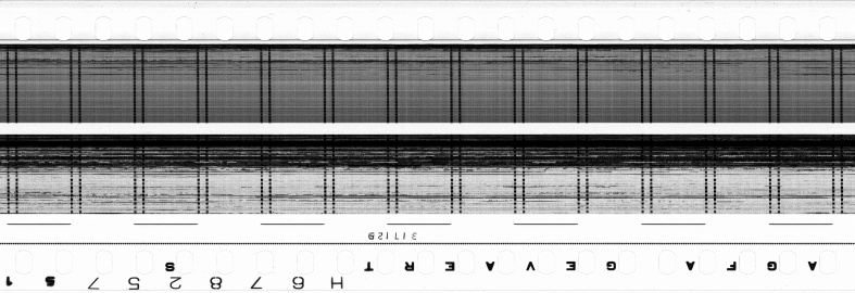 FR751142302_RDN_S_0388_1981_0069 PNG