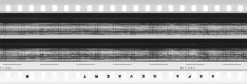 FR751142302_RDN_S_0390_1981_0265 PNG