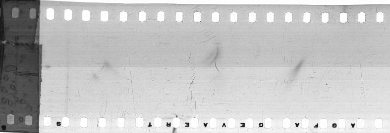 FR751142302_RDN_S_0391_1981_0006 PNG