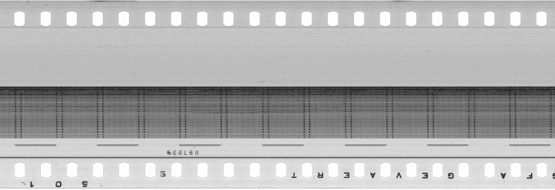 FR751142302_RDN_S_0405_1982_0310 PNG