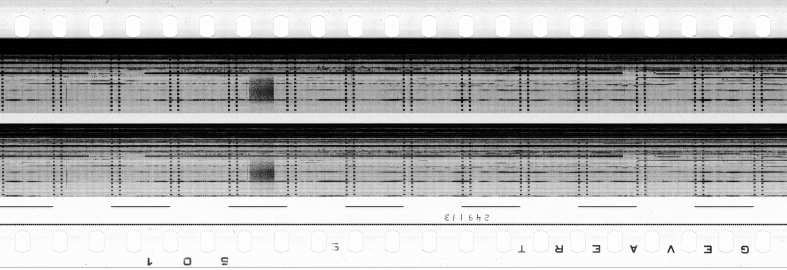 FR751142302_RDN_S_0416_1982_0281 PNG
