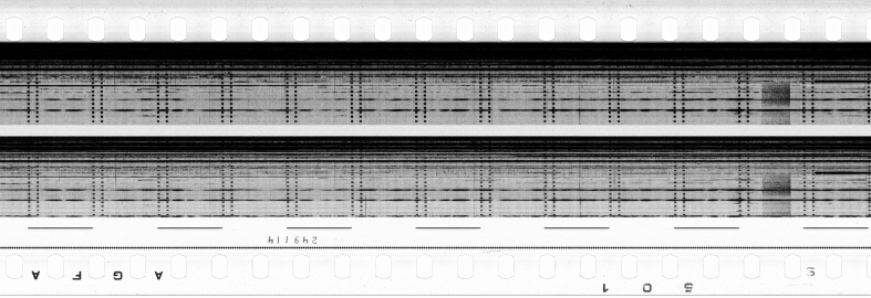 FR751142302_RDN_S_0416_1982_0282 PNG