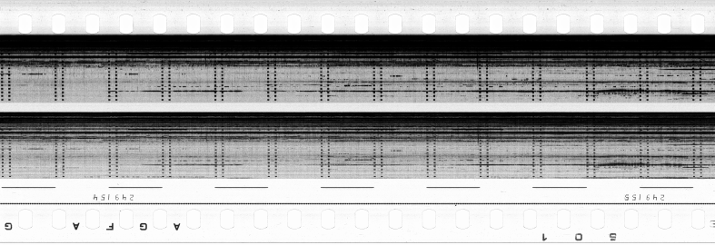 FR751142302_RDN_S_0416_1982_0300 PNG