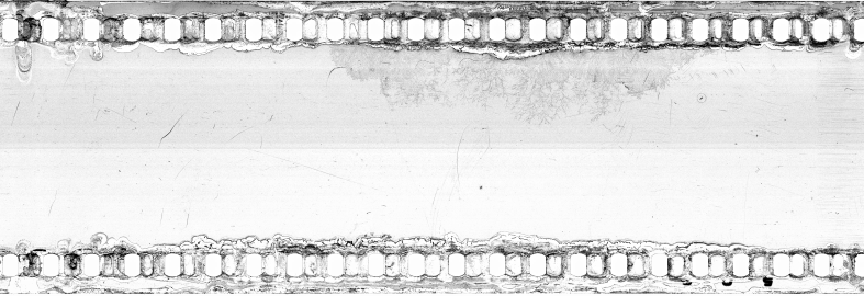 FR751142302_RDN_S_0420_1982_0008 PNG