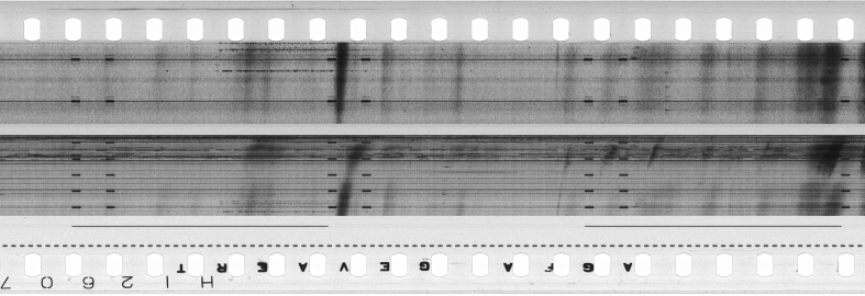 FR751142302_RDN_S_0421_1982_0206 PNG