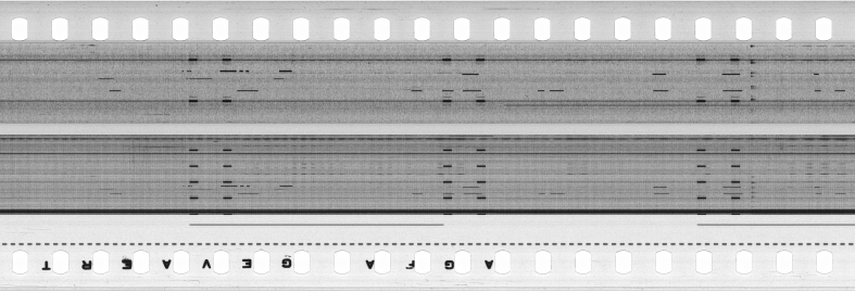 FR751142302_RDN_S_0421_1982_0304 PNG