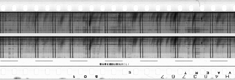 FR751142302_RDN_S_0427_1982_0296 PNG