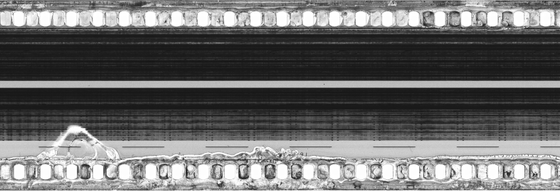 FR751142302_RDN_S_0446_1983_0258 PNG