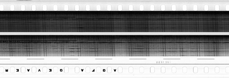 FR751142302_RDN_S_0504_1984_0196 PNG