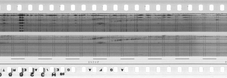 FR751142302_RDN_S_0554_1986_0181 PNG