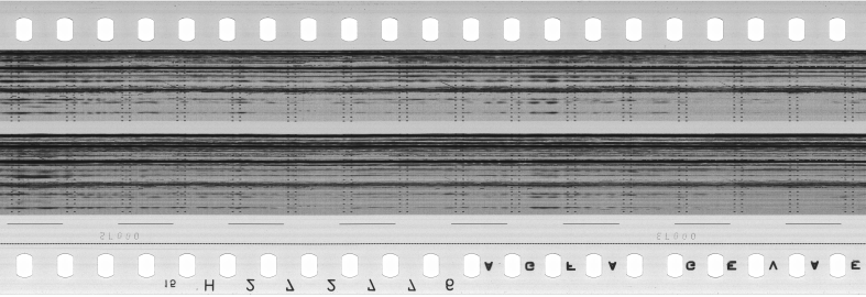 FR751142302_RDN_S_0596_1987_0257 PNG