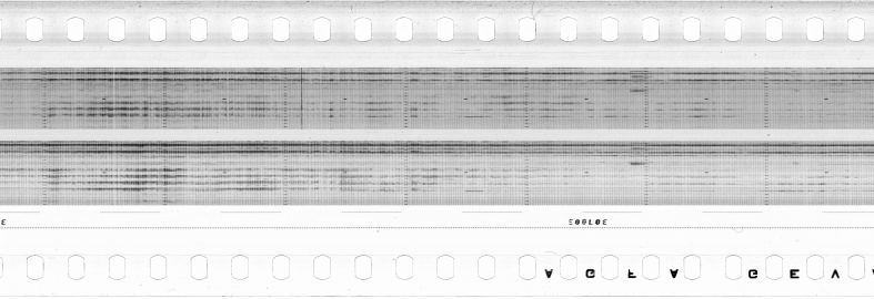FR751142302_RDN_S_0667_1989_0120 PNG
