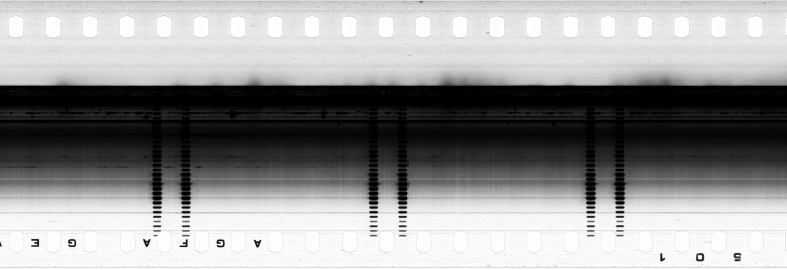 FR751142302_RDN_SAO_0001_1983_0110 PNG