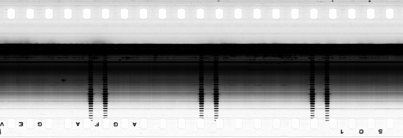 FR751142302_RDN_SAO_0001_1983_0113 PNG