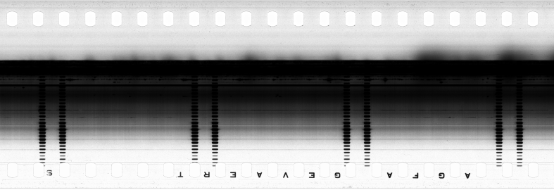 FR751142302_RDN_SAO_0001_1983_0117 PNG