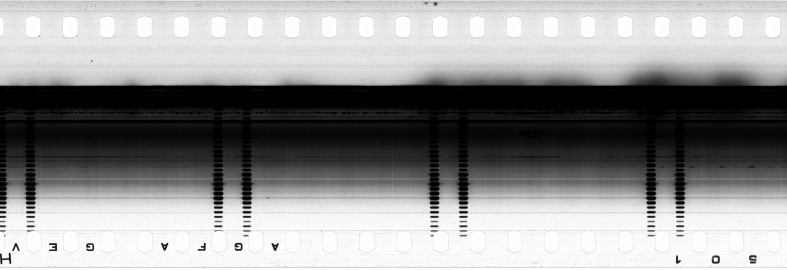 FR751142302_RDN_SAO_0001_1983_0119 PNG