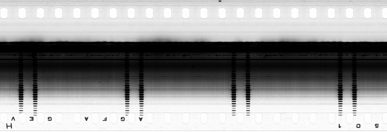 FR751142302_RDN_SAO_0001_1983_0125 PNG