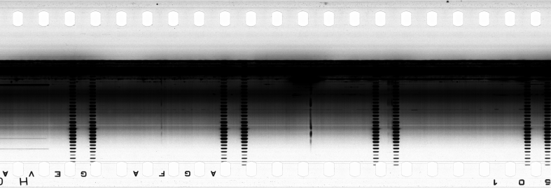 FR751142302_RDN_SAO_0001_1983_0134 PNG