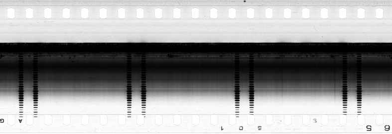FR751142302_RDN_SAO_0001_1983_0202 PNG