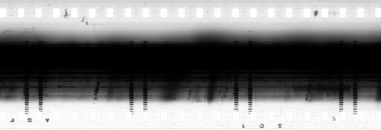 FR751142302_RDN_SAO_0001_1983_0232 PNG