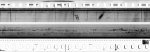 Observation numérisée de sursauts radio solaires